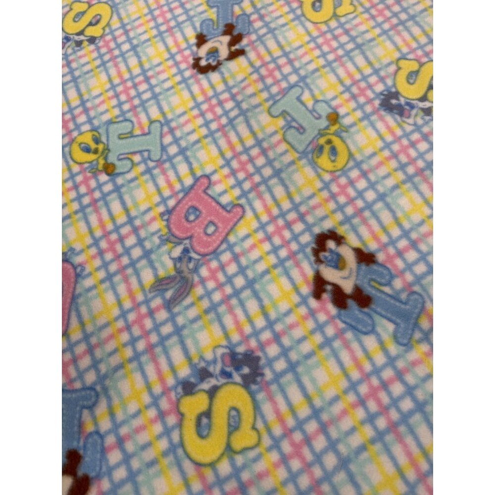 Looney Tunes Baby Blanket Soft Fleece 44x42 Inches Pastel Plaid With Cartoon Cha